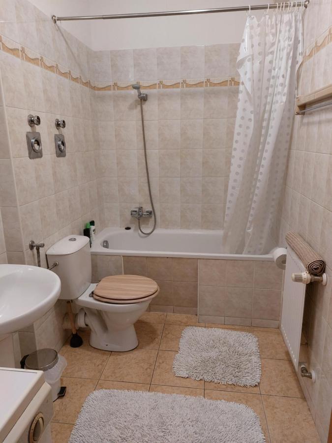 Flat At The Edge Of The Center + Parking Apartment Будапеща Екстериор снимка
